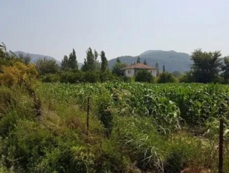 Freistehende 15000 M2 Fruchtbares Land Zum Verkauf In Mugla Ortaca Bogenschützen