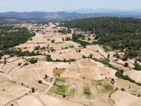 Mugla Menteşe Denizova 1869 M2 Schnäppchenfeld Zum Verkaufen