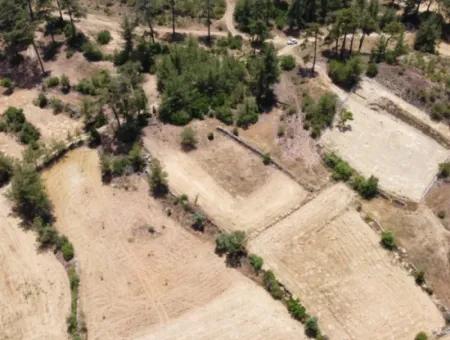 3031 M2 Freistehendes Feld Zu Verkaufen In Mugla Mentese Denizova