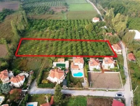 Muğla Okçular Marmarlı In 3 890 M2 Masterplan Grundstück Zu Verkaufen,