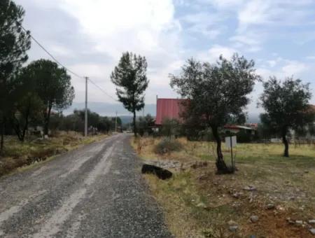 2788 M2 Feld Mit Seeblick Zu Verkaufen In Mugla Köyceğiz Zeytinalanı