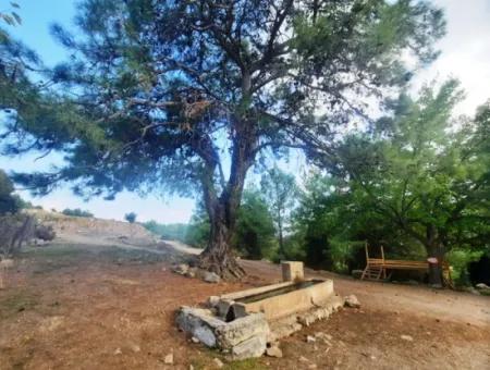 Mugla Dalyan Gökbel 320 M2 Schnäppchengrundstück Zum Verkauf