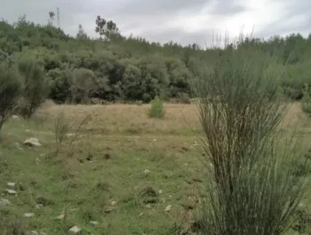 30949 M2 Fruchtbares Feld Zu Verkaufen In Mugla Dalaman Gürleyik