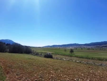 5 000 M2 Freistehende Eigentumsurkunde, Die Zum Verkauf In Çameli Belevide Geeignet Ist Schnäppchenfeld Zum Verkauf