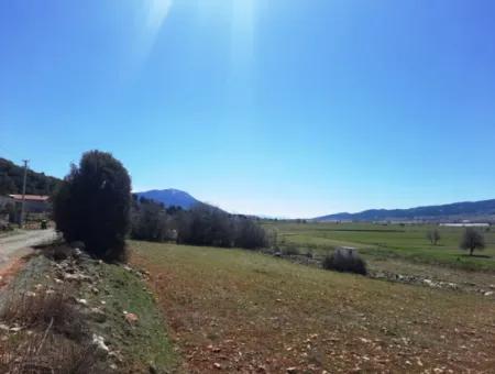 5 000 M2 Freistehende Eigentumsurkunde, Die Zum Verkauf In Çameli Belevide Geeignet Ist Schnäppchenfeld Zum Verkauf