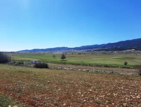5 000 M2 Freistehende Eigentumsurkunde, Die Zum Verkauf In Çameli Belevide Geeignet Ist Schnäppchenfeld Zum Verkauf