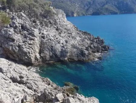 Dalyan, Gökbel De Meer Freistehend 1 300 M2 Olivenhain Zu Verkaufen