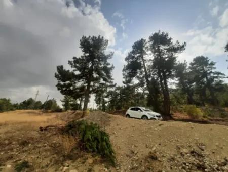 6 230 M2 Freistehendes Grundstück Zum Verkauf Oder Tausch An Der Alten Acıpayam-Straße In Çameli Cumanda