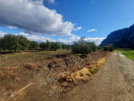 20.000 M2 In Muğla Ortaca Okçular Marmarlı, Grundstück Zum Verkauf Im Bebauungsplan