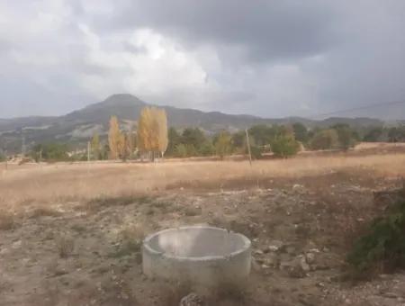 6 230 M2 Fruchtbares Land Zur Miete In Çameli Cumaalanı