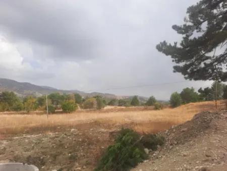 6 230 M2 Fruchtbares Land Zur Miete In Çameli Cumaalanı