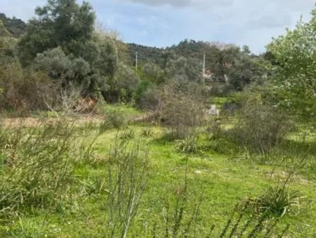 541 M2 Freistehendes Grundstück Zum Verkauf In Çandır, Muğla Köyceğiz