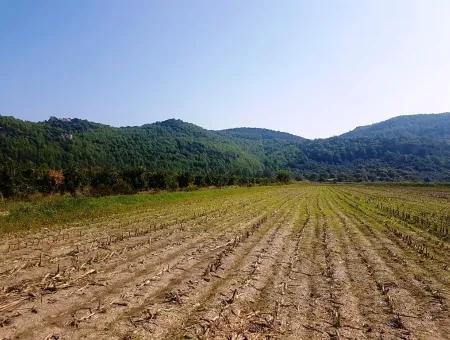 Region Des Fruchtbaren Landes Vermietung