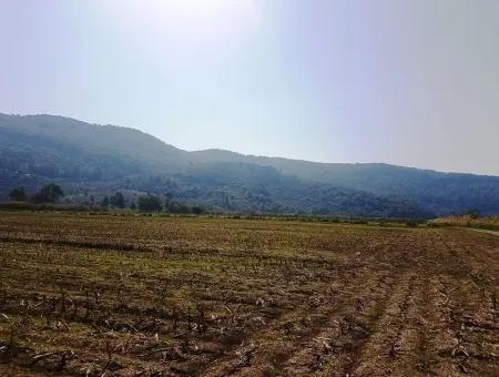 Region Des Fruchtbaren Landes Vermietung