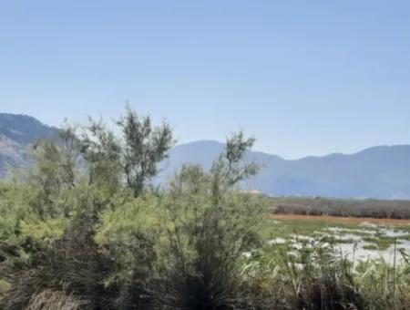 Zu Verkaufen In Dalyan, Muğla, 17.500 M2 Freistehendes Schnäppchengrundstück In Der Nähe Des Kanals