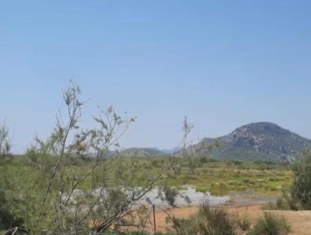 Zu Verkaufen In Dalyan, Muğla, 17.500 M2 Freistehendes Schnäppchengrundstück In Der Nähe Des Kanals