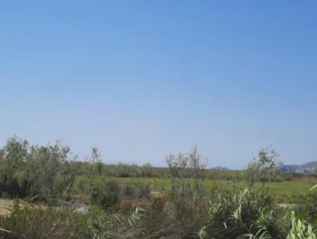Zu Verkaufen In Dalyan, Muğla, 17.500 M2 Freistehendes Schnäppchengrundstück In Der Nähe Des Kanals
