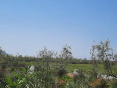 Zu Verkaufen In Dalyan, Muğla, 17.500 M2 Freistehendes Schnäppchengrundstück In Der Nähe Des Kanals