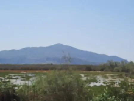 Zu Verkaufen In Dalyan, Muğla, 17.500 M2 Freistehendes Schnäppchengrundstück In Der Nähe Des Kanals