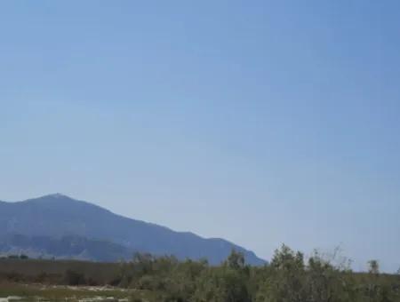 Zu Verkaufen In Dalyan, Muğla, 17.500 M2 Freistehendes Schnäppchengrundstück In Der Nähe Des Kanals