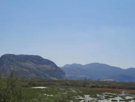 Zu Verkaufen In Dalyan, Muğla, 17.500 M2 Freistehendes Schnäppchengrundstück In Der Nähe Des Kanals