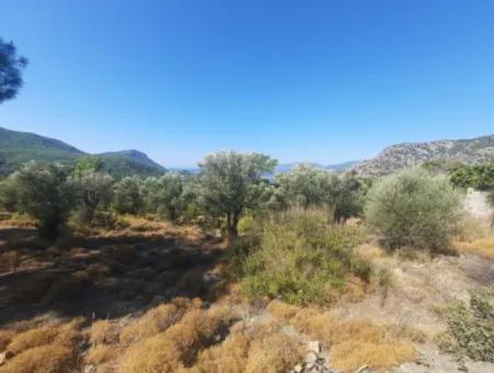 Muğla Gökbelde See- Und Meerblick 6 000M2 Grundstück Zum Verkauf