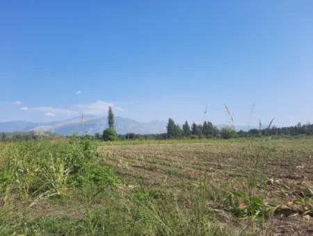 2 650 M2 Fruchtbares Land Zum Verkauf In Köyceğiz Poplar