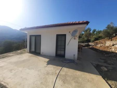 2 Einheiten Von 1 1 Wohnung Zum Verkauf Auf 1700 M2 Freistehendem Grundstück In Muğla Gökbel