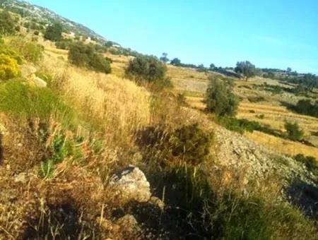 Grundstück Mit Meerblick Zum Verkauf In Boğaziçi Seydikemer