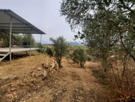 2 500 M2 Schatzgrundstück In Eskiköy Das Besitzrecht Wird Übertragen Oder Das Fahrzeug Ausgetauscht