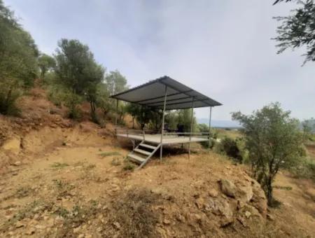 2 500 M2 Schatzgrundstück In Eskiköy Das Besitzrecht Wird Übertragen Oder Das Fahrzeug Ausgetauscht