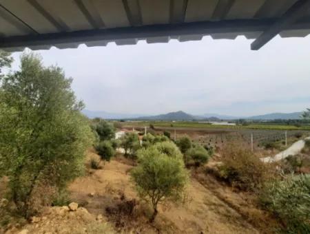 2 500 M2 Schatzgrundstück In Eskiköy Das Besitzrecht Wird Übertragen Oder Das Fahrzeug Ausgetauscht