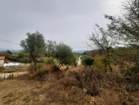 2 500 M2 Schatzgrundstück In Eskiköy Das Besitzrecht Wird Übertragen Oder Das Fahrzeug Ausgetauscht