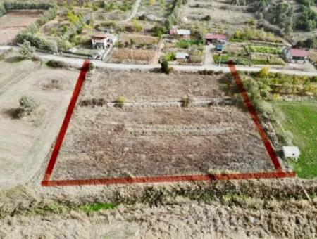 5 000 M2 Freistehende Eigentumsurkunde, Die Zum Verkauf In Çameli Belevide Geeignet Ist Schnäppchenfeld Zum Verkauf