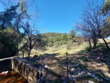 2 400 M2 Feld Zum Verkauf In Muğla Ortaca Gökbelde Natur