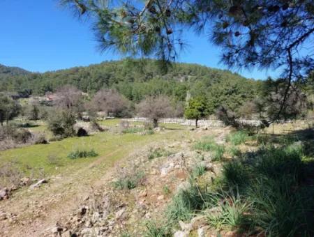 2 400 M2 Feld Zum Verkauf In Muğla Ortaca Gökbelde Natur