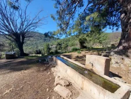 2 400 M2 Feld Zum Verkauf In Muğla Ortaca Gökbelde Natur