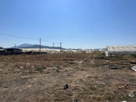 515 M2 Eckgrundstück In Ortaca Karaburun Dringender Verkauf Oder Tausch