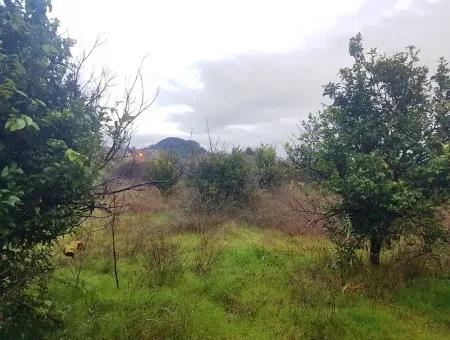 Tourismus-Zonen Grundstücke Zum Verkauf In Dalyan-Kanal Null