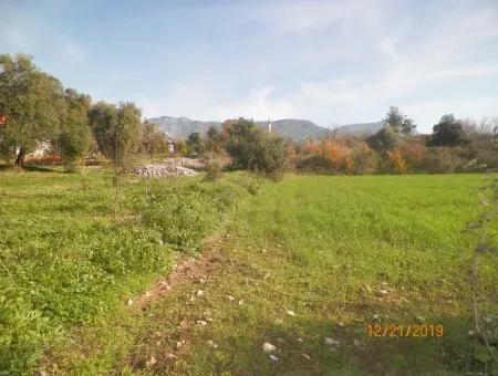 Land Zum Verkauf In Bargain Detached Zeytinalani