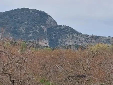 5 000 M2, 250 M2 Baugenehmigung, Grundstück In Der Nähe Des Dalyan-Kanals Zum Verkauf In Dalyan, Muğla