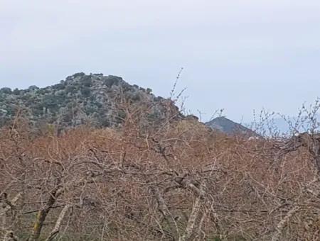 5 000 M2, 250 M2 Baugenehmigung, Grundstück In Der Nähe Des Dalyan-Kanals Zum Verkauf In Dalyan, Muğla