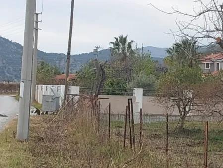 5 000 M2, 250 M2 Baugenehmigung, Grundstück In Der Nähe Des Dalyan-Kanals Zum Verkauf In Dalyan, Muğla