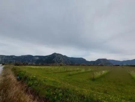 5 000 M2, 250 M2 Baugenehmigung, Grundstück In Der Nähe Des Dalyan-Kanals Zum Verkauf In Dalyan, Muğla
