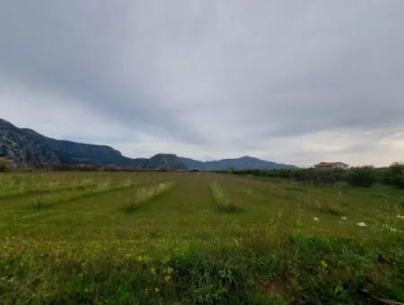 5 000 M2, 250 M2 Baugenehmigung, Grundstück In Der Nähe Des Dalyan-Kanals Zum Verkauf In Dalyan, Muğla