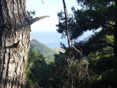 12.926 N2 Meerblick Grundstück Zum Verkauf In Köyceğiz Ekincik