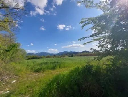 In Muğla Ortaca Eskiköy Stehen 12.805 M2 Land Mit Einem Anteil Zum Verkauf.