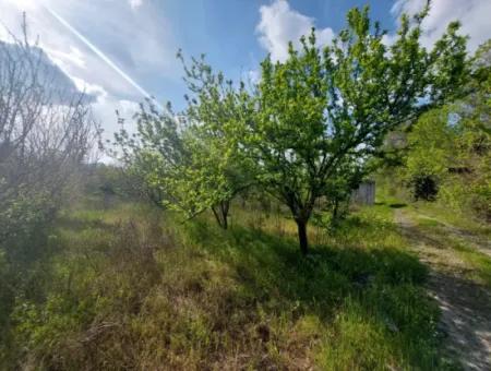 In Muğla Ortaca Eskiköy Stehen 12.805 M2 Land Mit Einem Anteil Zum Verkauf.