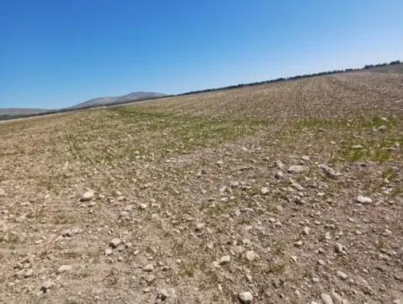 Konya Kadinhani Baskuyu 650.000 M2 Schnäppchenland Zum Verkauf