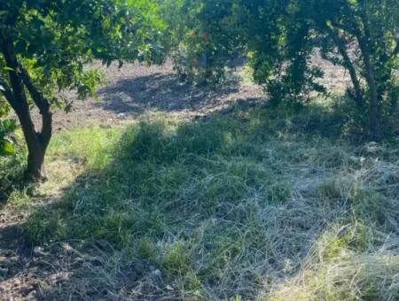 500 M2 Grundstück Mit Rızai-Trennwand In Ortaca Kemaliye Zum Notverkauf